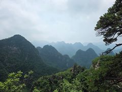 -大连天门山国家森林公园
