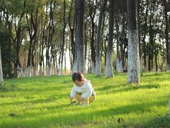 -艾溪湖湿地公园