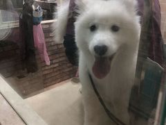 -宠颐生汉谟拉比宠物医院