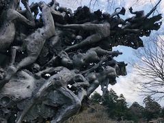 -雕刻之森美术馆