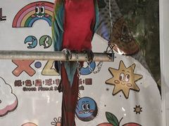 -绿色星球动物主题公园