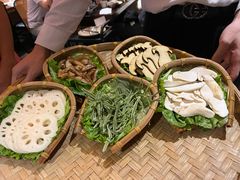 -滇野云南野生菌餐厅(陕西南路店)