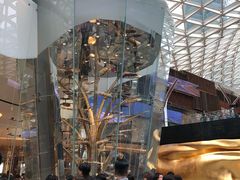 -视博茶点(美狮美高梅店)