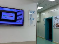-北京观赏动物医院·24小时大型综合·猫专科·异宠专科