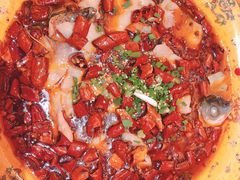 -陈麻婆豆腐总店
