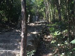 -清溪森林公园