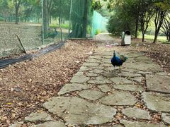 -武汉园博园(武汉自然博物馆)
