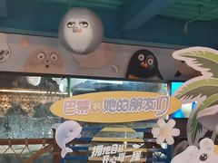 -海合安青岛极地海洋公园