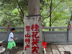 -沂蒙山旅游区云蒙景区(蒙山国家森林公园)