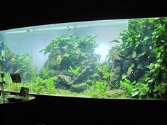 -华阳时光吧餐厅(华阳广场国际大饭店)