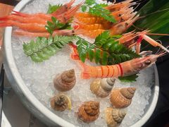 -Mr.Fish鱼鲜生海鲜放题(高德置地冬广场店)