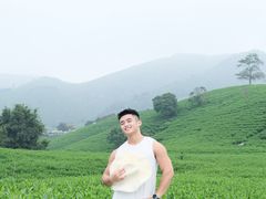 -帐篷客·溪龙茶谷度假酒店