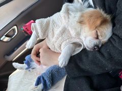 -益友堂盲人推拿正骨穴位按摩工作室