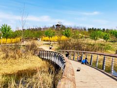 -马家湾湿地公园