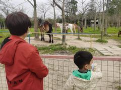-广东花都香草世界旅游度假区