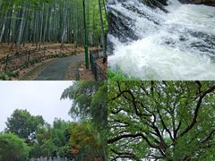 -杭州植物园