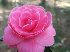 -昆明市金殿名胜区