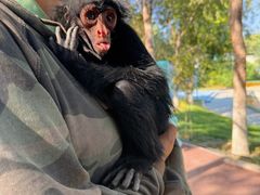 -水上乐园·欢乐世界