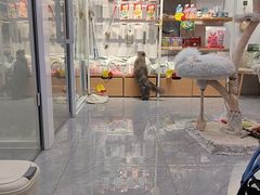 -爱洗澡的猫(天河路店)