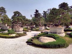 iphone_upload_pic-中国唐苑