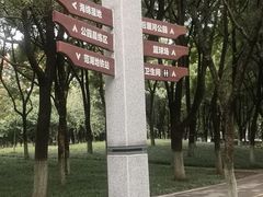 -后襄河公园
