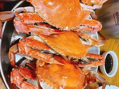 清蒸海蟹-必点海鲜·鲅鱼水饺(鞍山西道店)