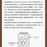 咖啡小知识㊙️厌氧处理法了解一下✅