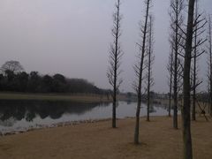 -两河城市森林公园
