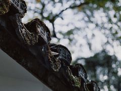 -灵栖洞天