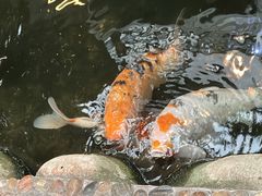 -上海大自然野生昆虫馆