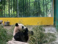 -杭州野生动物世界