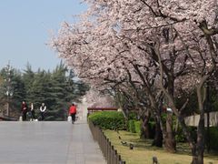 -大雁塔北广场音乐喷泉