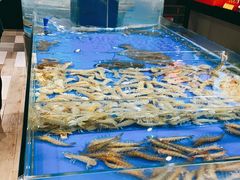 -永红源·啤酒烧烤海鲜大排档(台柳路店)