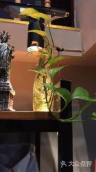 -Little Tailor 小裁缝西服衬衫大衣私人定制(虹口店)