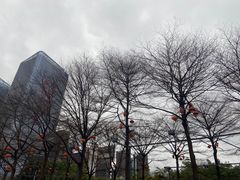 -文华公园(禅城区)