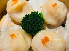 -粤凤佬