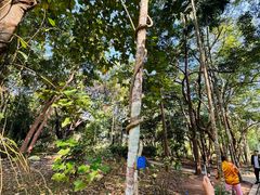 -中国科学院西双版纳热带植物园