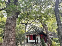 -绮园景区
