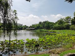 -映月湖公园