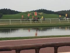 -迪茵湖田家舍生态农场