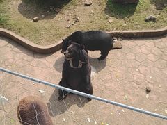 -无锡动物园·太湖欢乐园