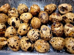 -窑鸡王(皇岗店)