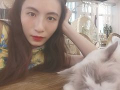-共舞时光猫咖·狗咖(新街口店)