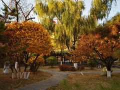 -善化寺