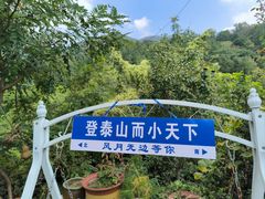 -泰山风景名胜区