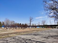 -永定河休闲森林公园