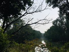 -大湾区中央湿地公园