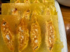 -海派美食·家宴海鲜青岛菜·石锅鲽鱼头(东方城店)