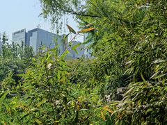 -元大都城垣遗址公园