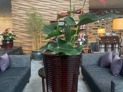 -天津海河悦榕庄·Lobby Lounge大堂吧